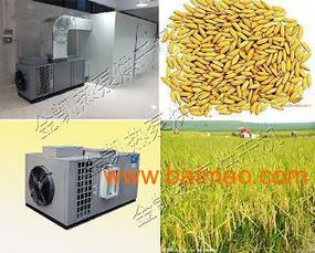 多功能优质稻谷烘干机 农副产品加工的革新力量