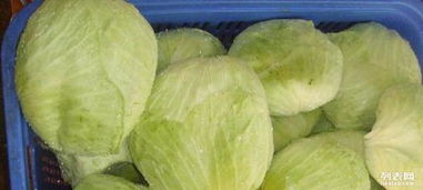 金谷餐饮连锁 打造广州餐饮供应链新标杆